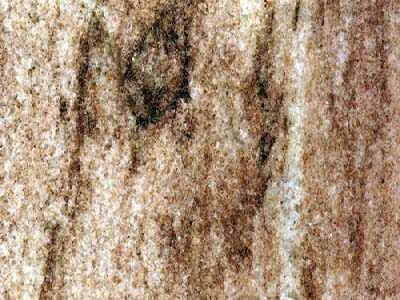 Amazonia Brown brown Marble Brazil