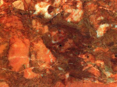 Breccia Pernice red Limestone Italy
