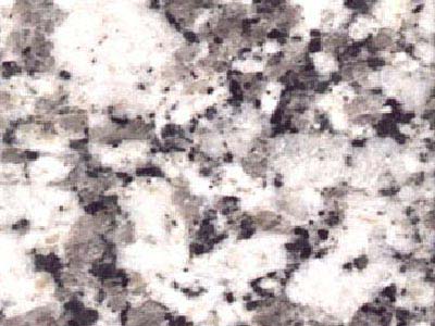 Platinum White grey Granite India