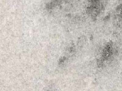 Trilogy White grey Marble Malaysia